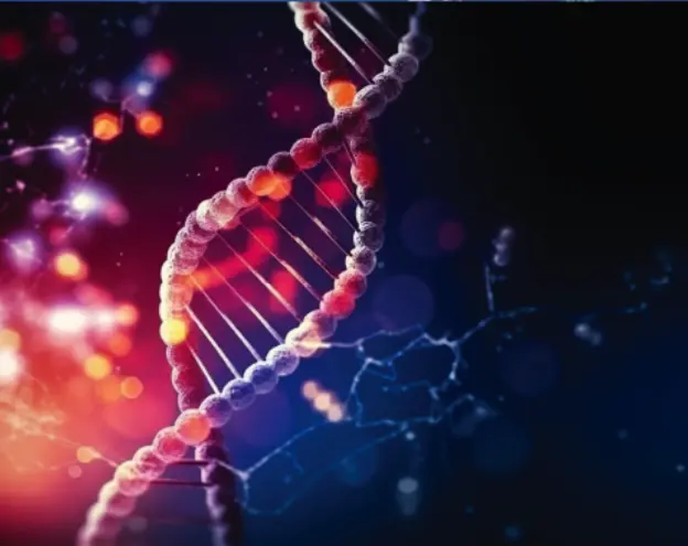 DNA